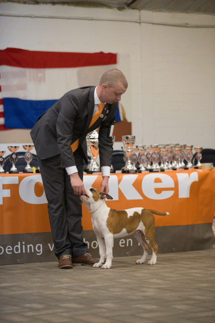 Cs3Q6488Babyk Catno 5 15166400610 O