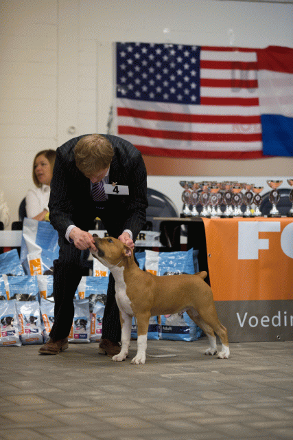 Cs3Q6489Babyk Catno 4 15353093315 O