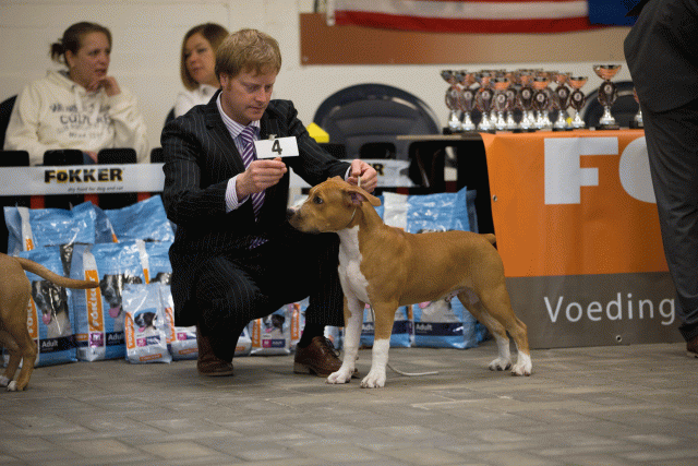 Cs3Q6490Babyk Catno 4 15166340339 O