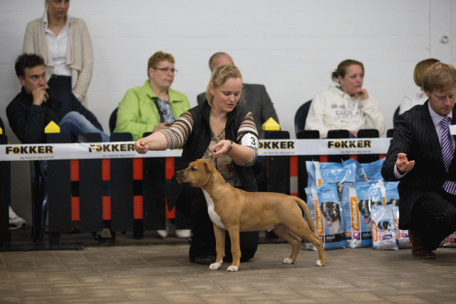 Cs3Q6491Babyk Catno 3 15349902951 O