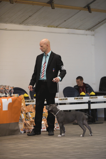 Cs3Q6492Babyk Catno 1 15166395930 O