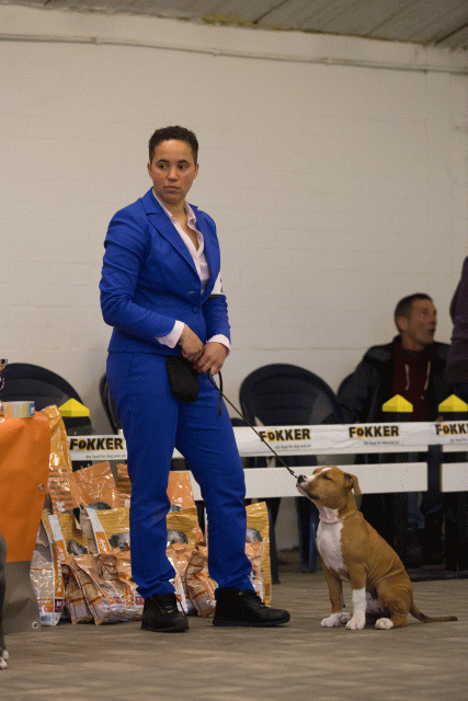 Cs3Q6493Babyk Catno 2 15166394560 O