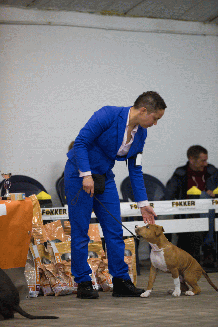 Cs3Q6494Babyk Catno 2 15166576667 O