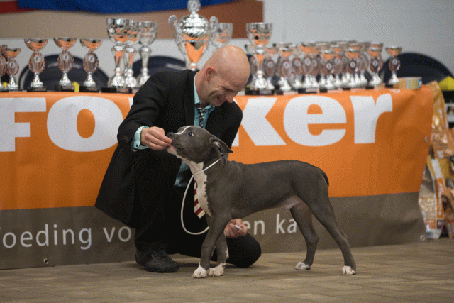 Cs3Q6497Babyk Catno 1 15166390340 O