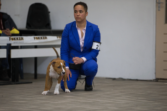 Cs3Q6498Babyk Catno 2 15166572587 O