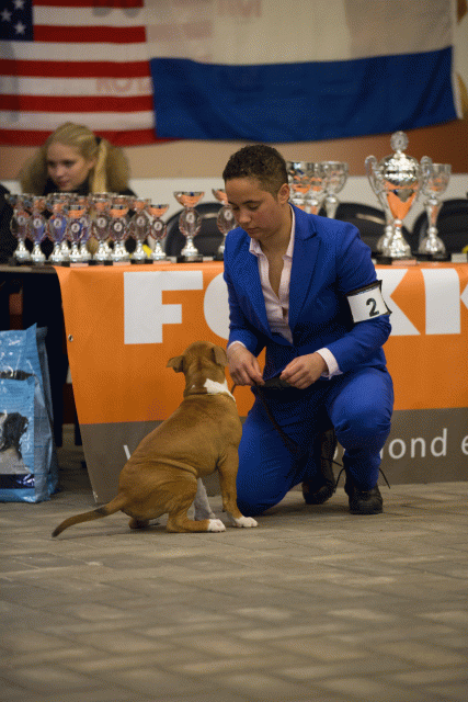 Cs3Q6501Babyk Catno 2 15353082305 O