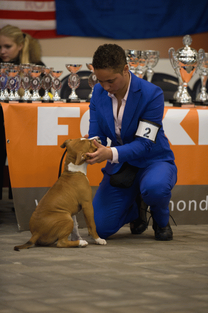 Cs3Q6502Babyk Catno 2 15166510358 O