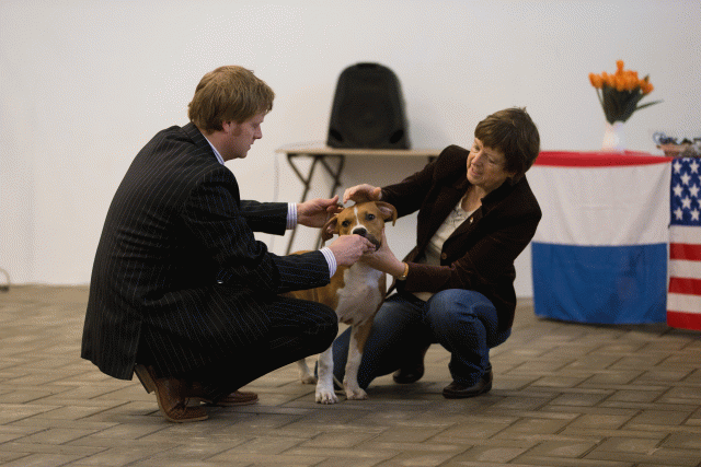 Cs3Q6503Babyk Catno 4 15353079755 O