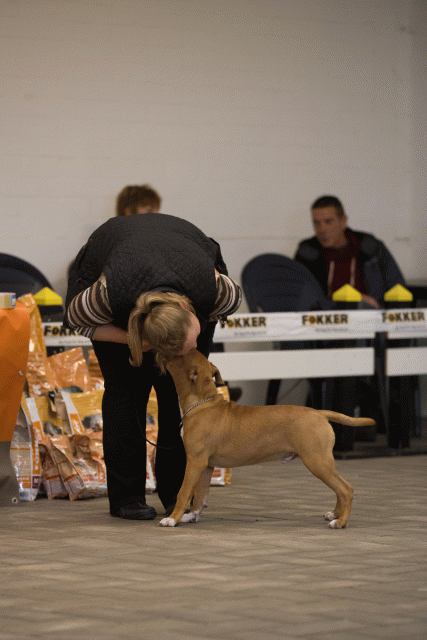 Cs3Q6504Babyk Catno 3 15353078505 O