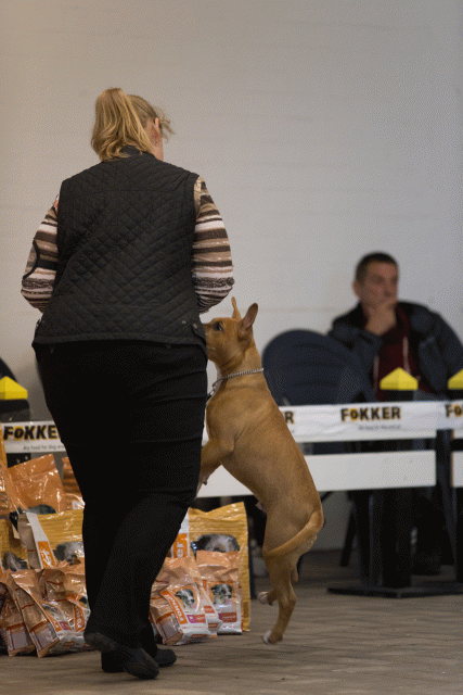 Cs3Q6507Babyk Catno 3 15166198469 O