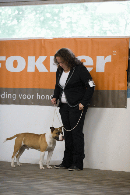 Cs3Q6517Puppyreu Catno 8 15166562597 O