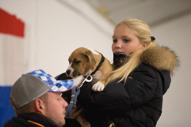 Cs3Q6521 15166499048 O