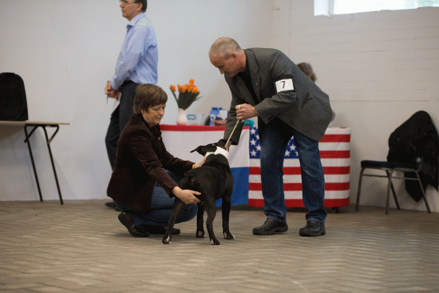 Cs3Q6523Puppyreu Catno 7 15166374880 O