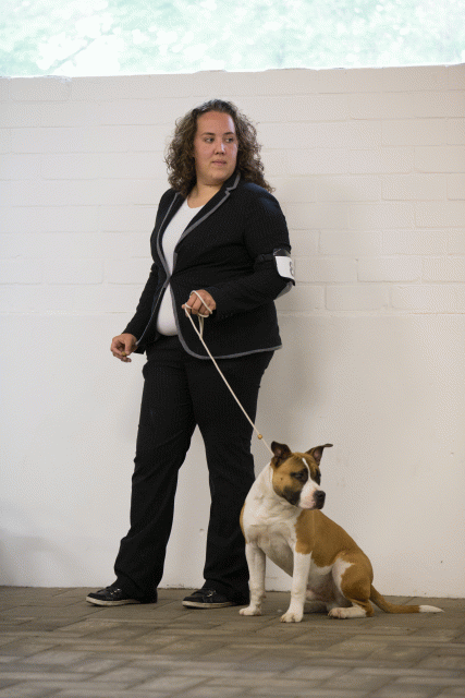 Cs3Q6538Puppyreu Catno 8 15166548347 O