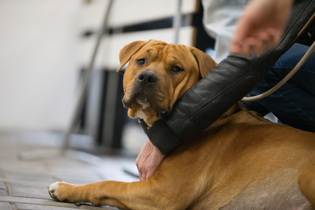 Cs3Q6543 15352742902 O