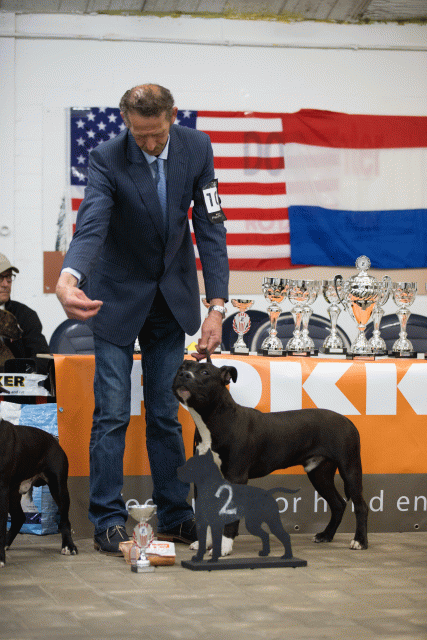 Cs3Q6554Puppyreu Catno 10 15166476068 O