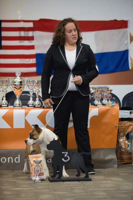 Cs3Q6557Puppyreu Catno 8 15166535387 O