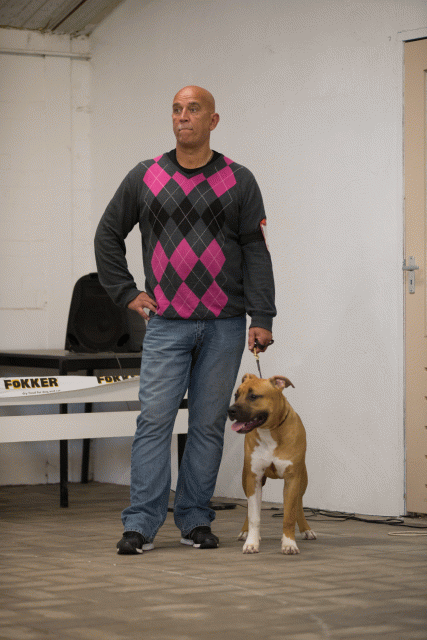 Cs3Q6558Puppyreu Catno 9 15352732662 O