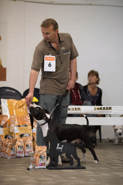 Cs3Q6563Puppyreu Catno 6 15349853021 O