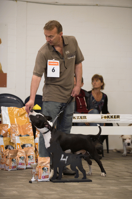 Cs3Q6564Puppyreu Catno 6 15166469138 O