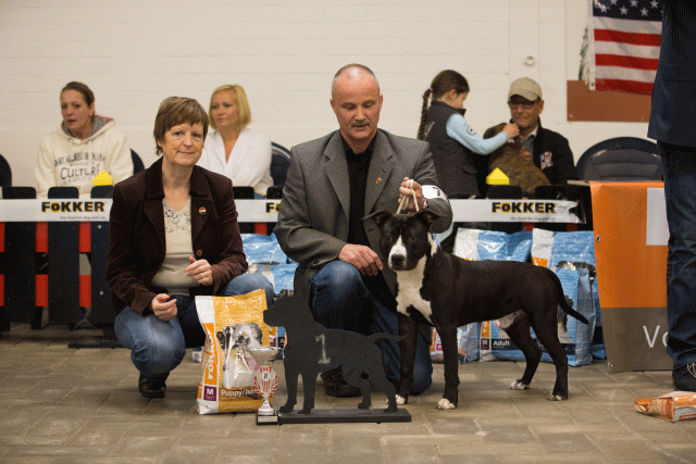 Cs3Q6569Puppyreu Catno 7 15330010586 O