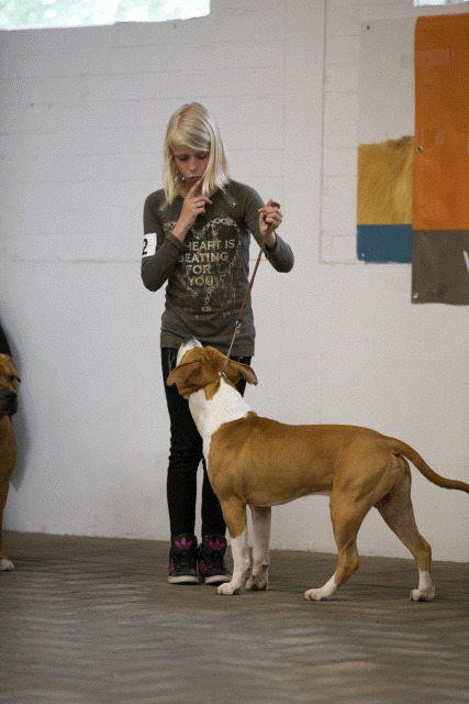 Cs3Q6570Jeugdreu Catno 12 15166466128 O