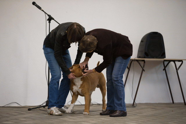 Cs3Q6571Jeugdreu Catno 11 15166284019 O