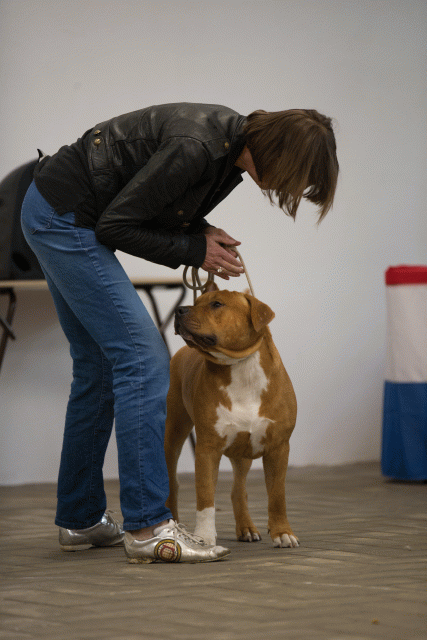 Cs3Q6574Jeugdreu Catno 11 15166282909 O