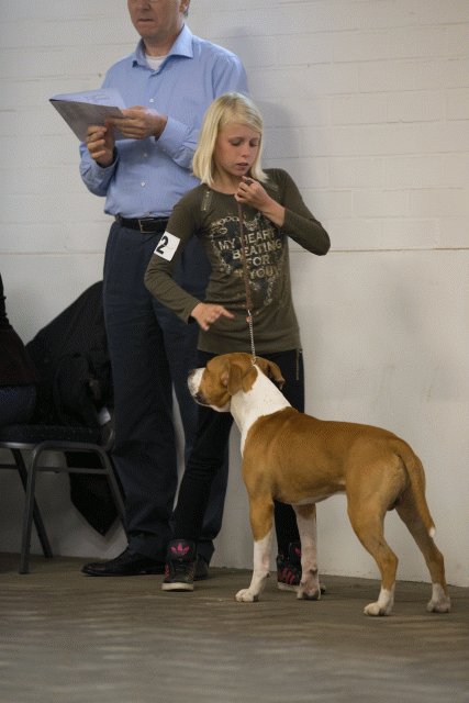 Cs3Q6577Jeugdreu Catno 12 15349845461 O