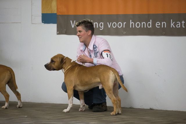 Cs3Q6578Jeugdreu Catno 13 15330004676 O