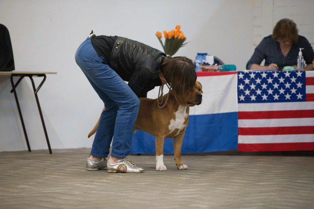 Cs3Q6583Jeugdreu Catno 11 15349843221 O