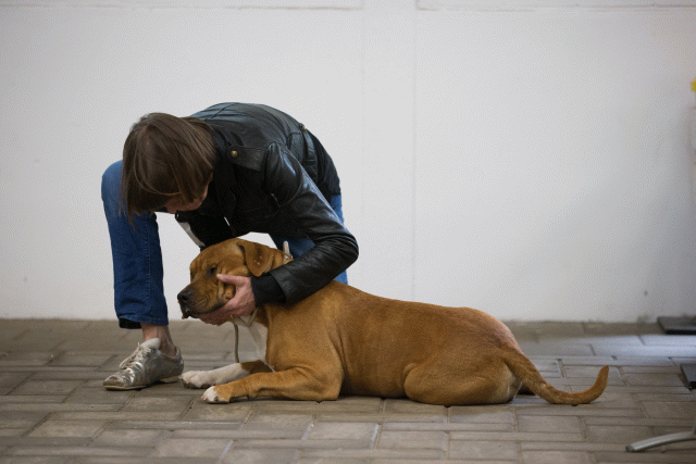 Cs3Q6590Jeugdreu Catno 11 15349840131 O