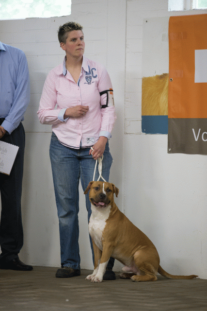 Cs3Q6591Jeugdreu Catno 13 15329999706 O