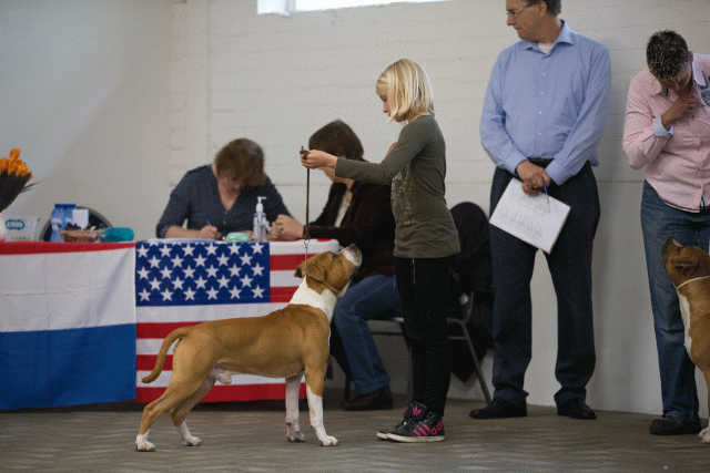 Cs3Q6592Jeugdreu Catno 12 15329998456 O