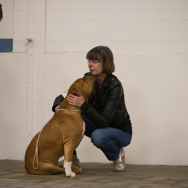 Cs3Q6599Jeugdreu Catno 11 15166331880 O