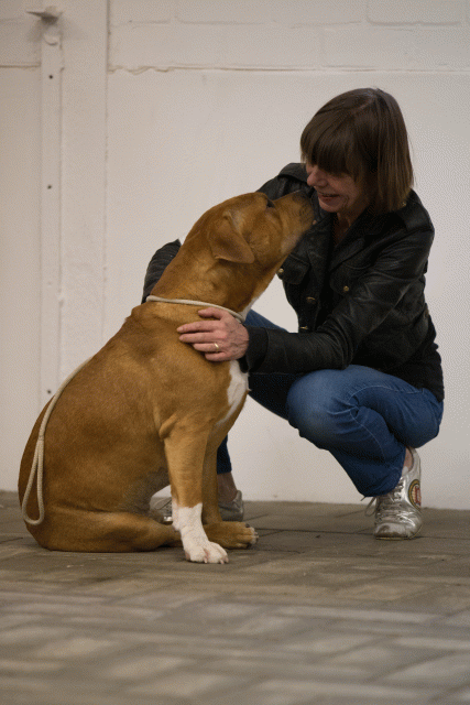 Cs3Q6600Jeugdreu Catno 11 15166272999 O