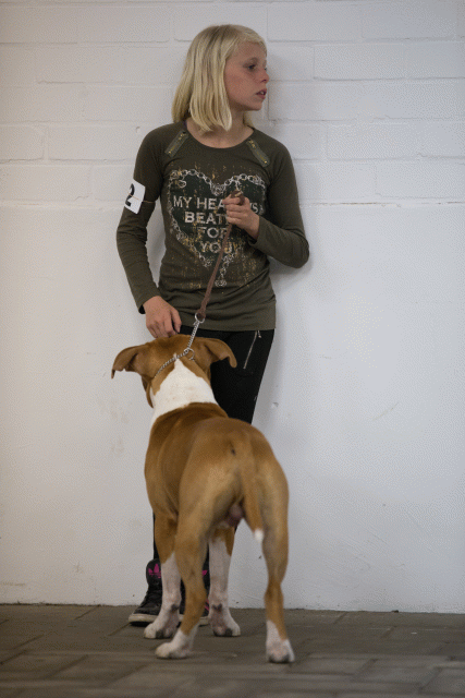 Cs3Q6601Jeugdreu Catno 12 15166272209 O