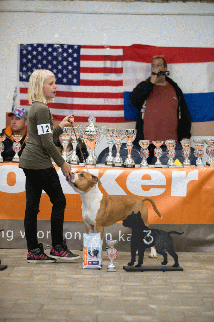Cs3Q6649Jeugdreu Catno 12 15166254209 O