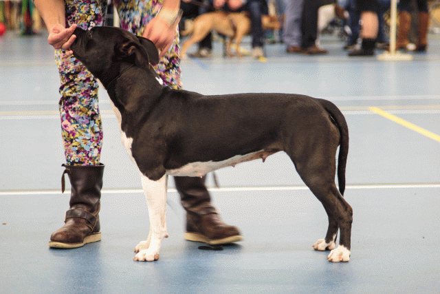 Mg 6461 12546755285 O