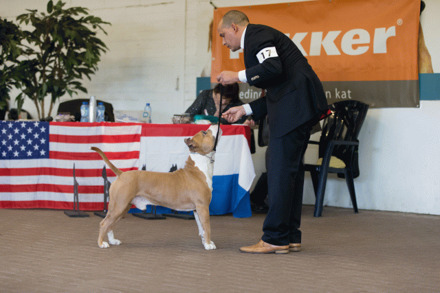 Cs3Q0182 15873776477 O