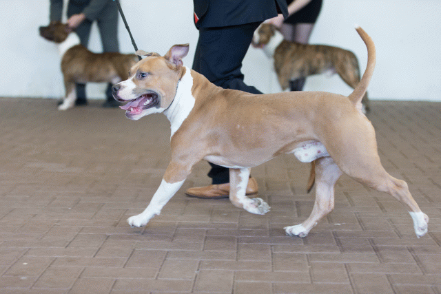 Cs3Q0191 15873473049 O