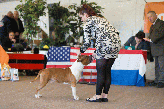 Cs3Q0195 15873471399 O