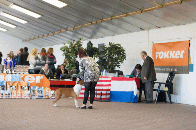 Cs3Q0198 16057584041 O