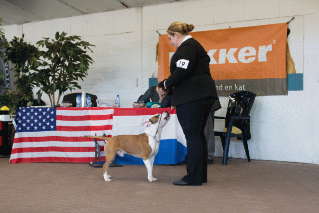 Cs3Q0213 15872256200 O