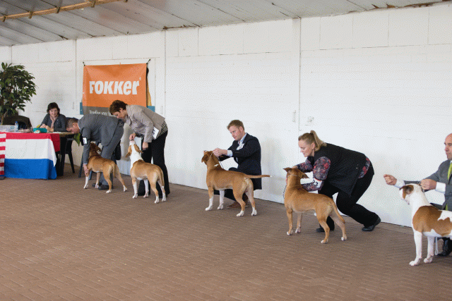 Cs3Q0214 16057581401 O