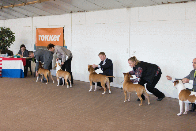 Cs3Q0215 16033756226 O