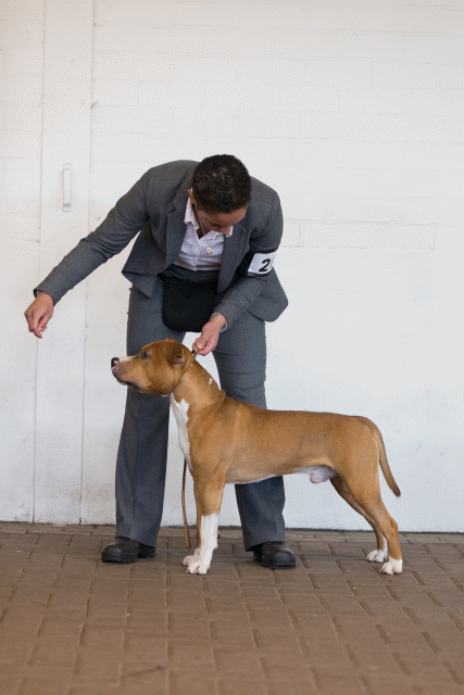 Cs3Q0216 16057429411 O