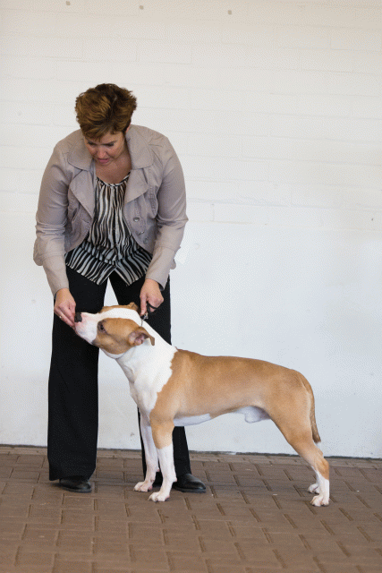 Cs3Q0217 15872083968 O