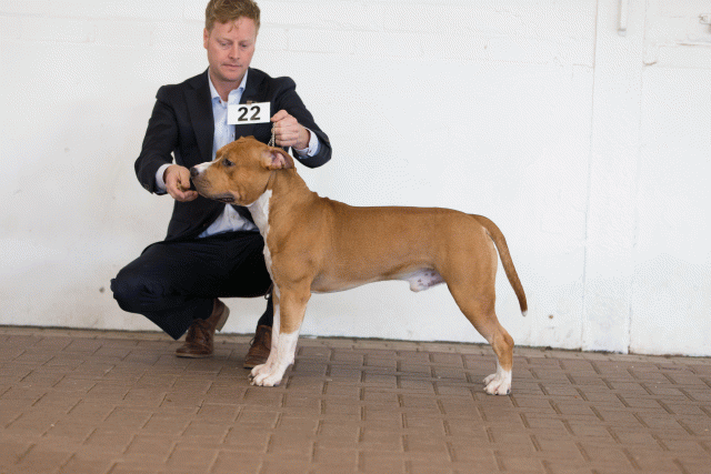 Cs3Q0218 16033755056 O