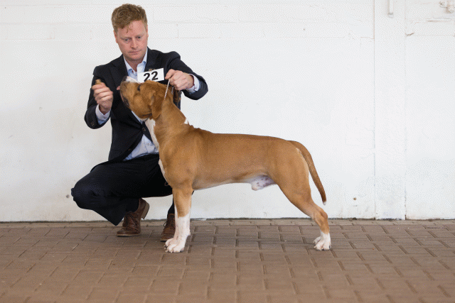 Cs3Q0219 15439876073 O